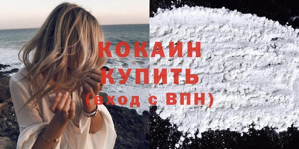тгк Богородицк