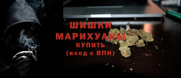 тгк Богородицк